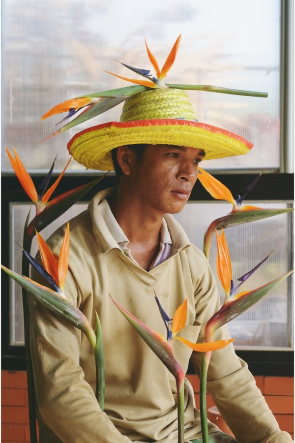 บอล นรภัทร