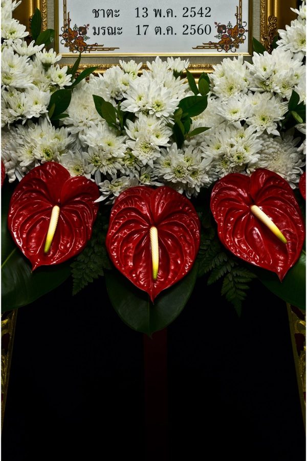 บอล นรภัทร