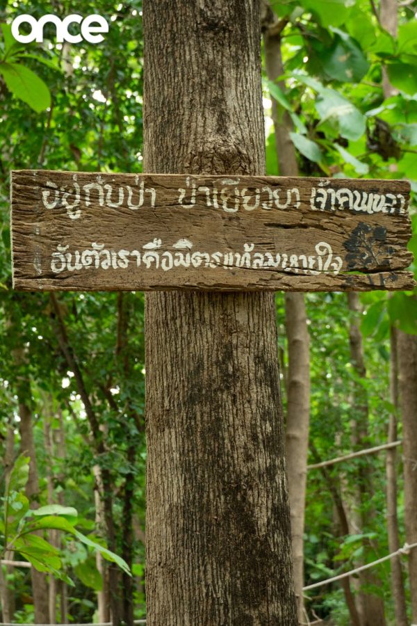 แต้มสุข Coffee & Folk